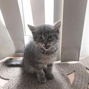 Meet your Posher, Janet